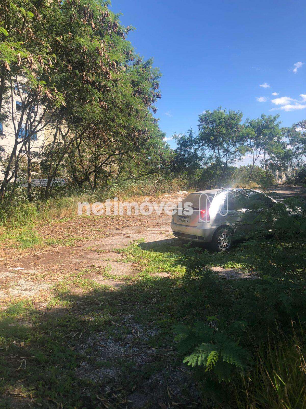 Visão do lote ângulo 5