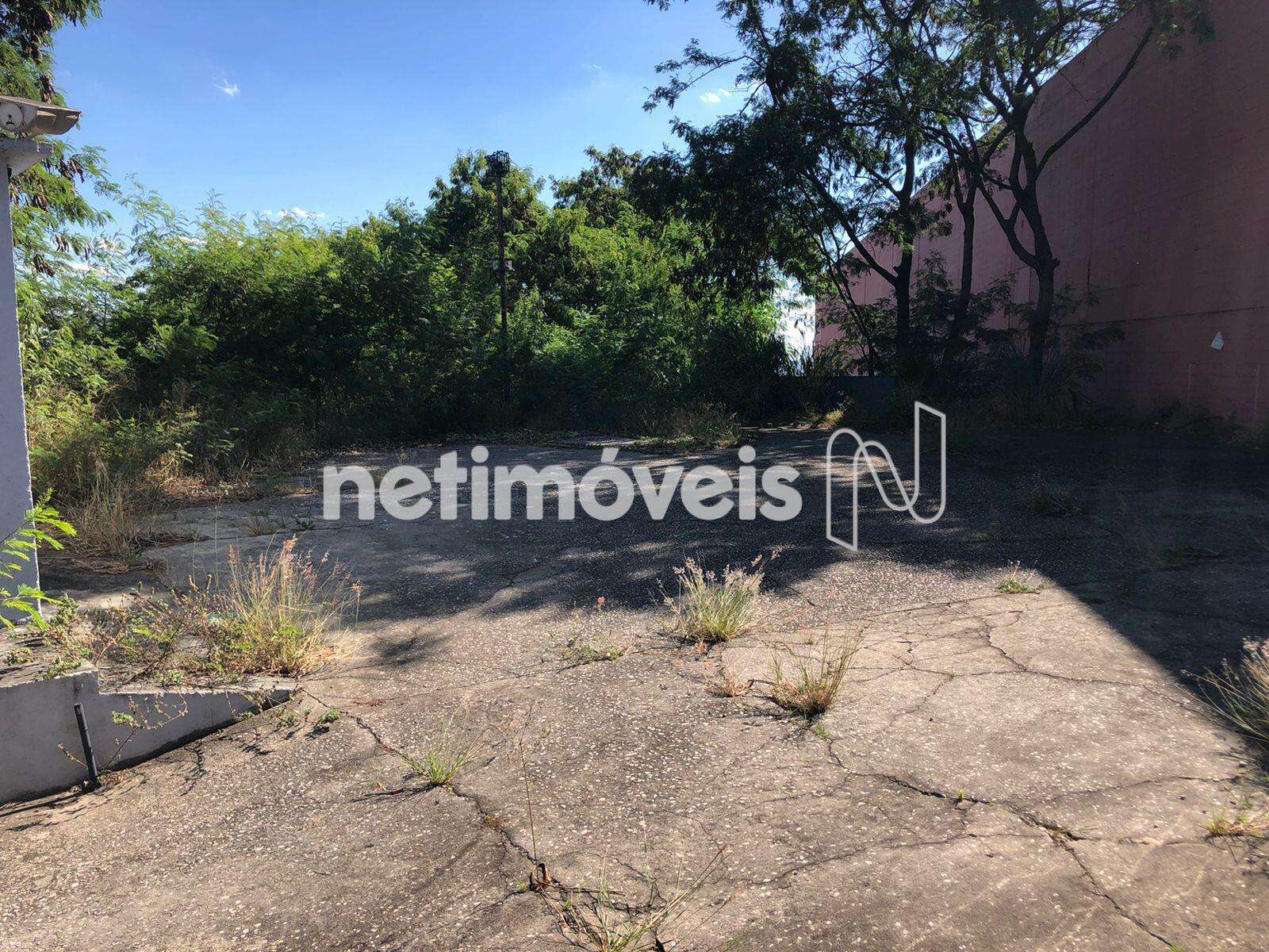 Visão do lote ângulo 2