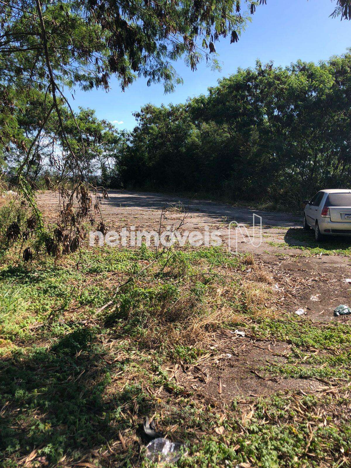 Visão do lote ângulo 4