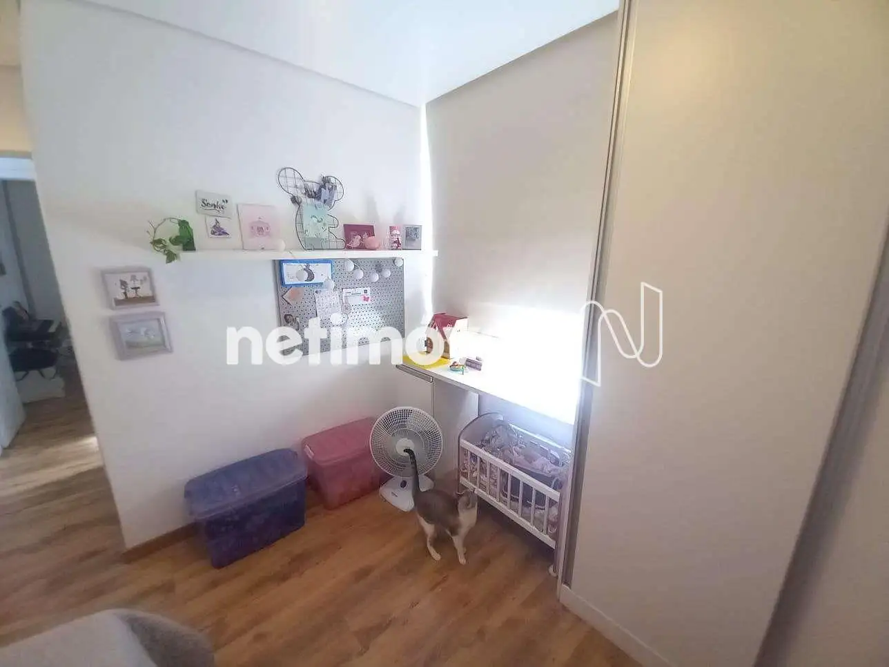 Quarto02