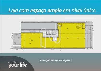 Planta 