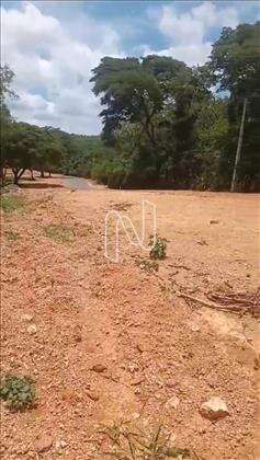 Lote