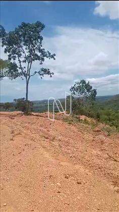 Lote - Vista