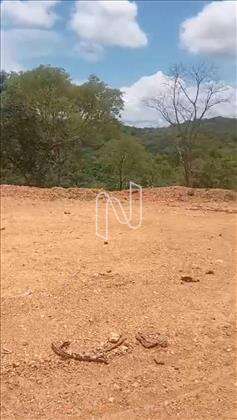Lote - Fundos