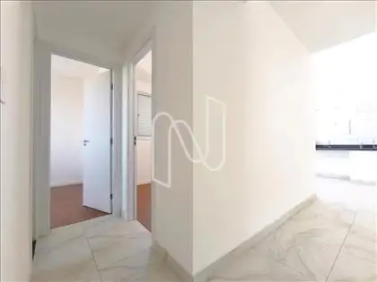 Circulação