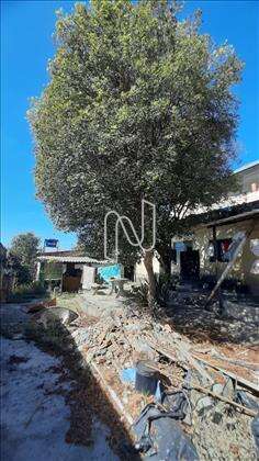lote