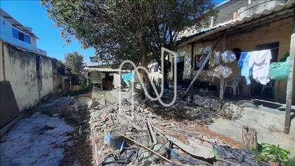 lote