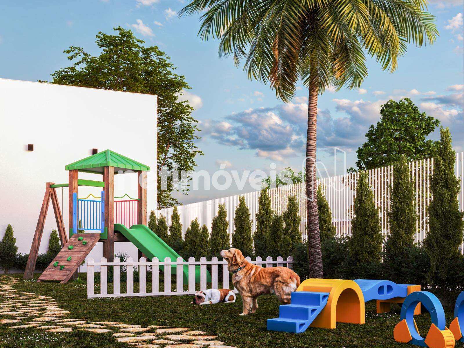 Play Ground e Pet Place 