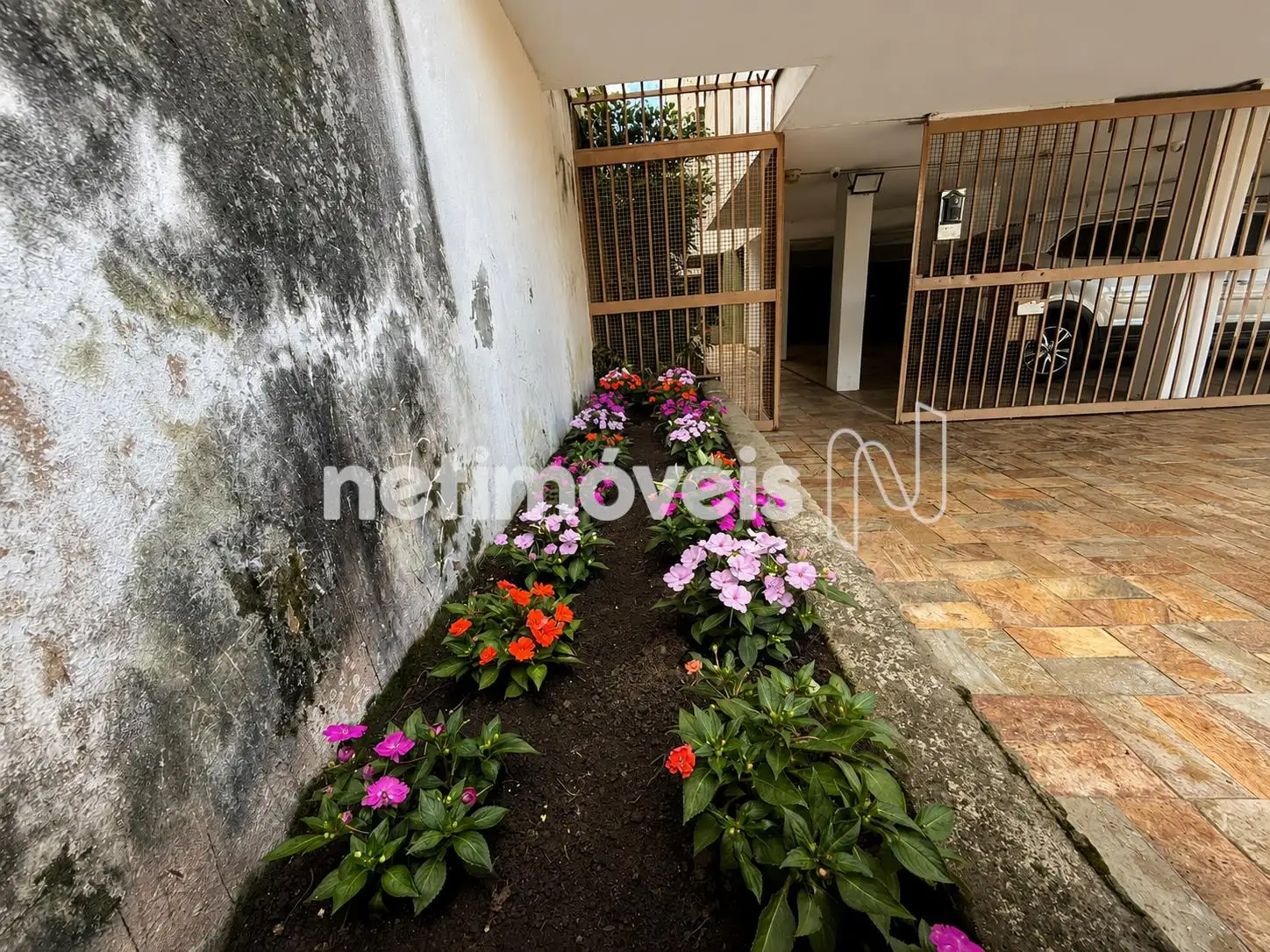 Jardim