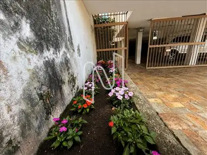 Jardim