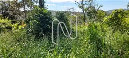 Meio para fora do Lote  