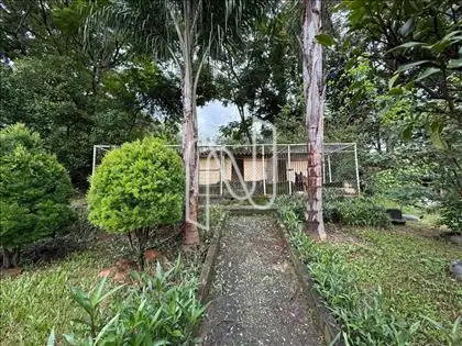   Fazenda