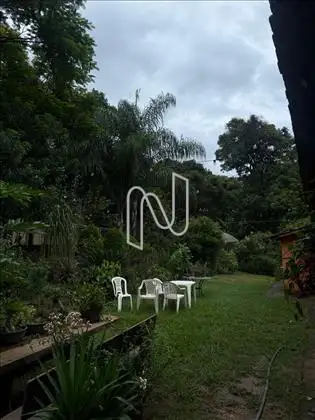  Fazenda 