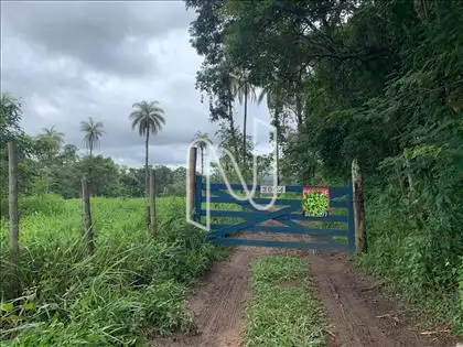  Fazenda - Entrada 