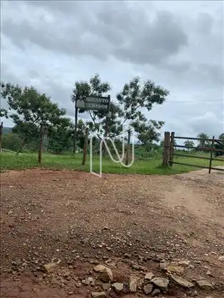  Fazenda 