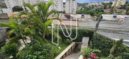 Vista