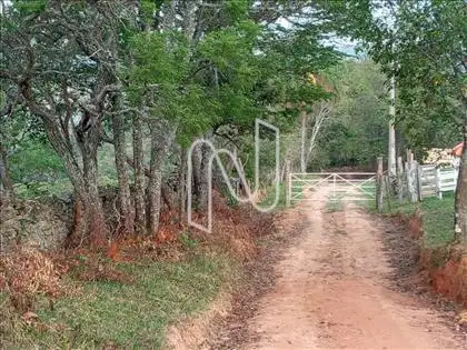 Sede - Chegada