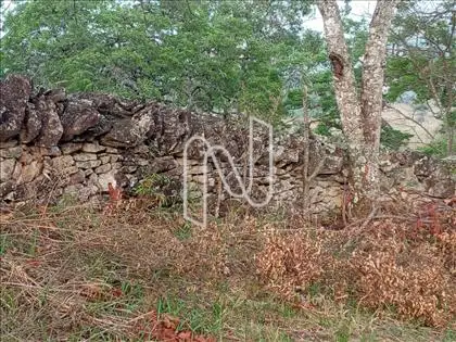 Muros de Pedra 
