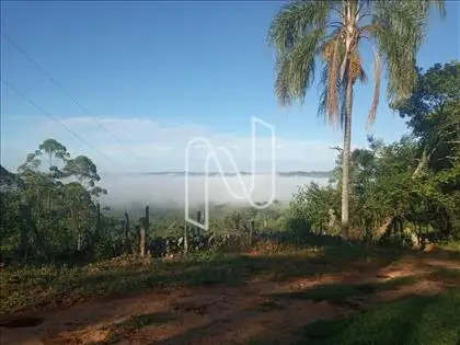 Vista Panorâmica