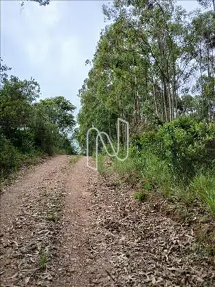 Estrada de Acesso
