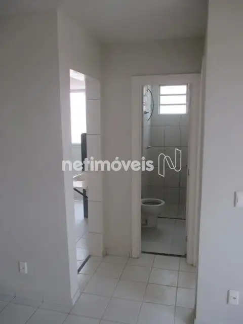 Circulação Interna