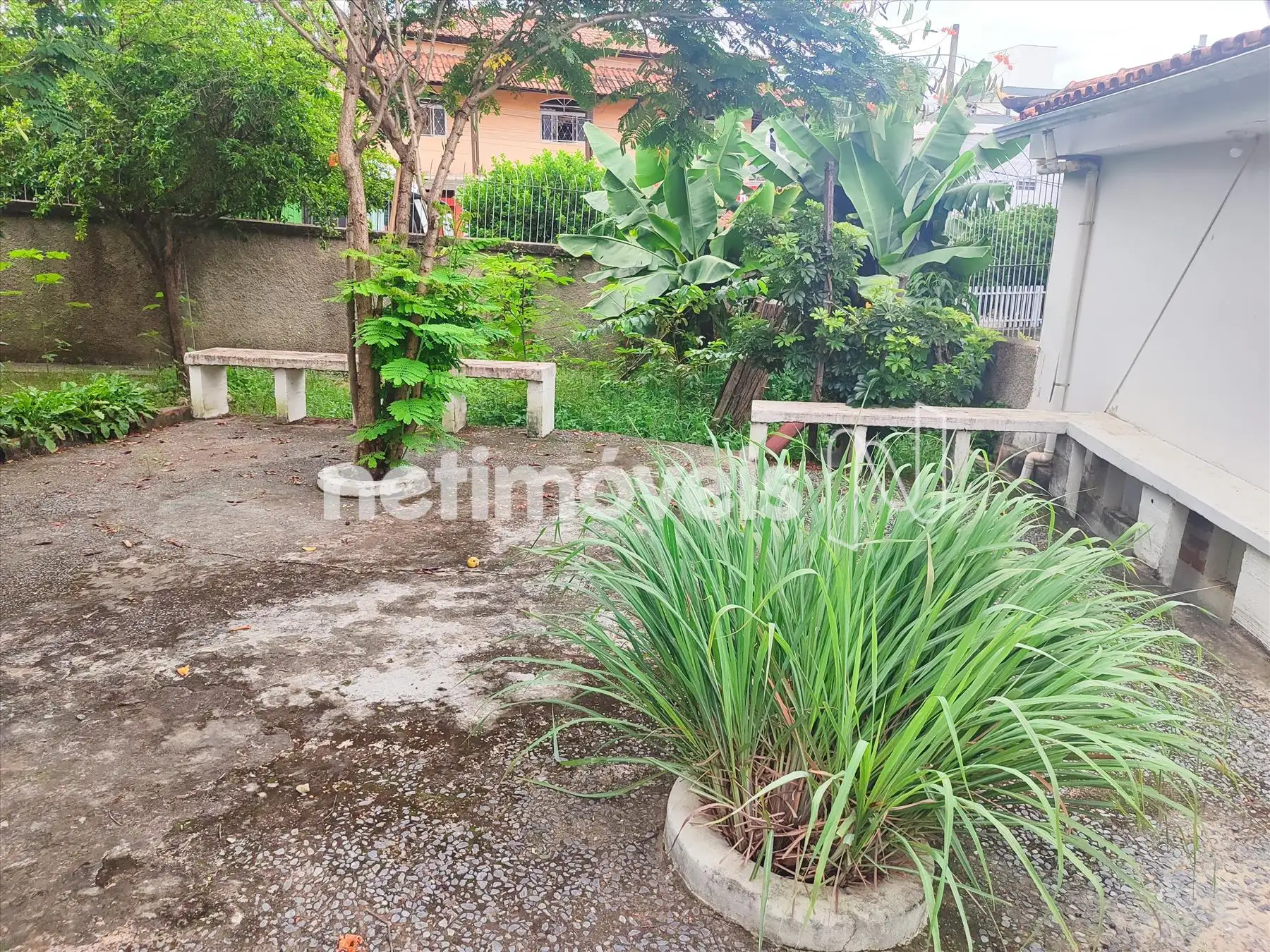 F34 - Jardim, quintal foto 5