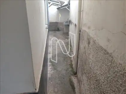  F38 - Circulação externa