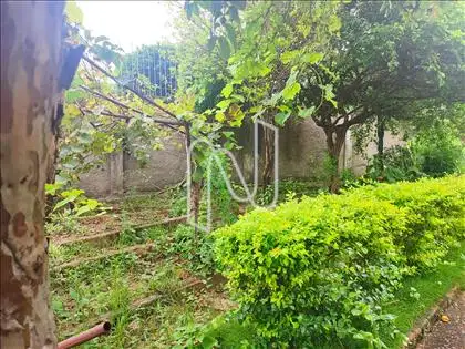 F36 - Jardim, quintal foto 4