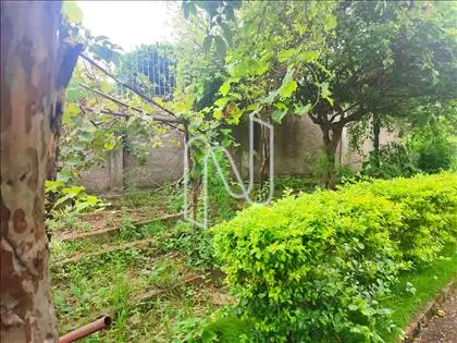 F34 - Jardim, quintal foto 2