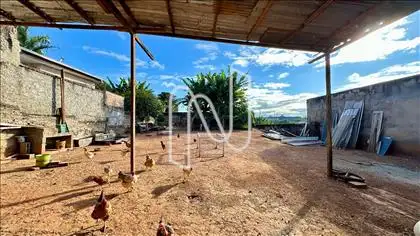 Lote