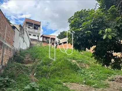 Angulo 6