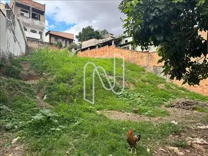 Angulo 3