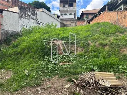 Angulo 7