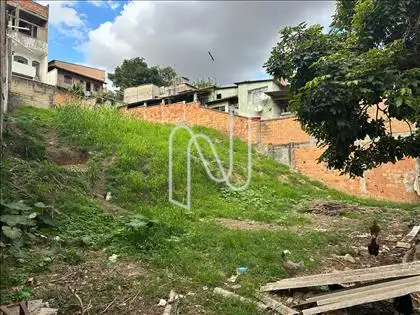Angulo 2