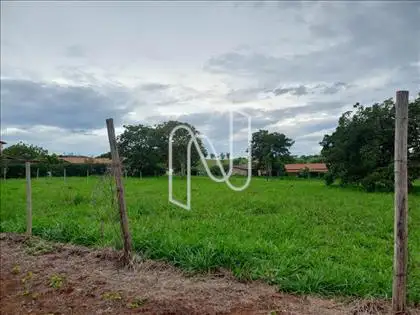 Lote
