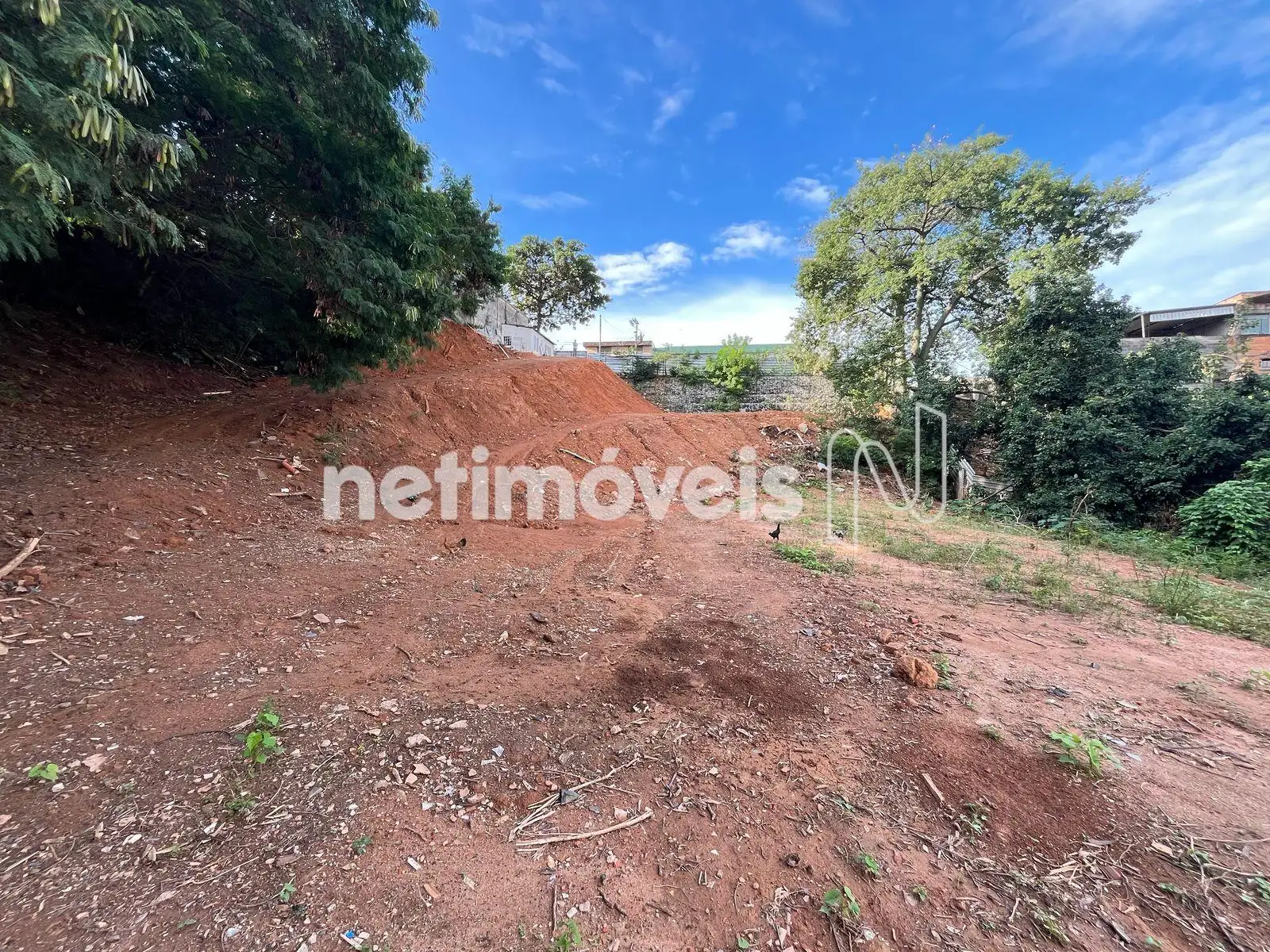 Quase no fundo com vista para a frente