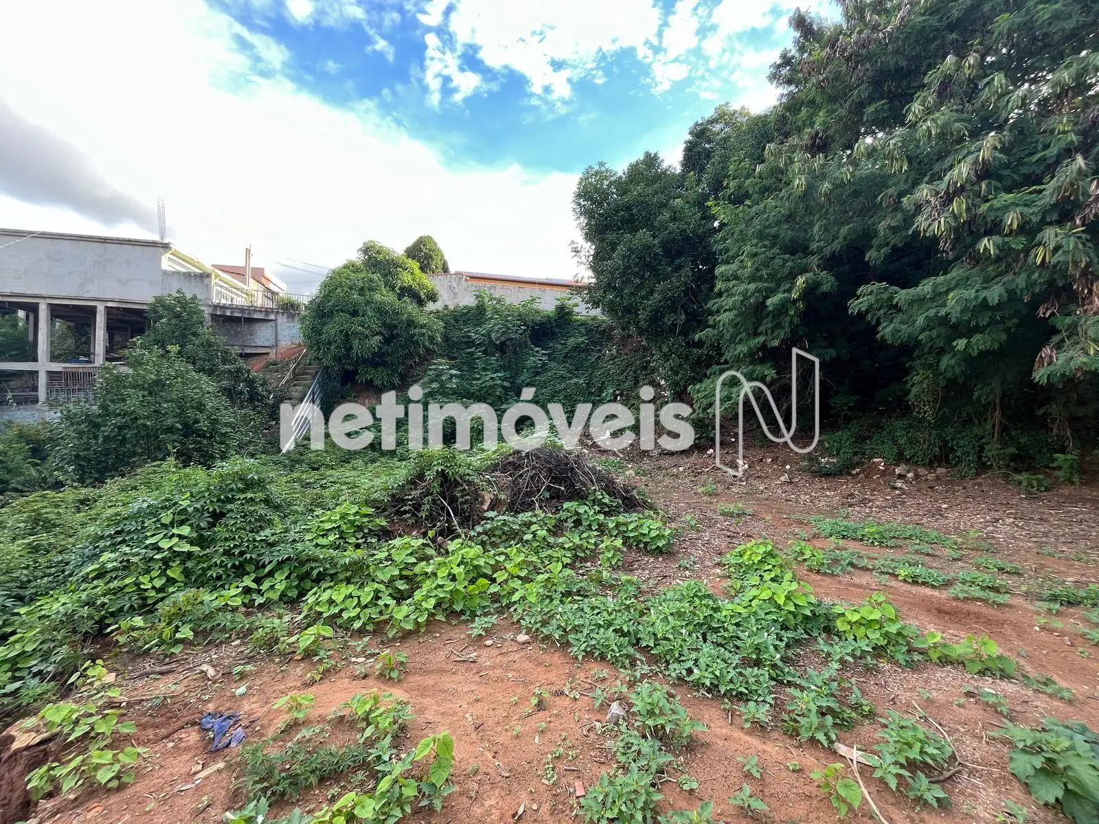 Meio do lote com vista para os fundos