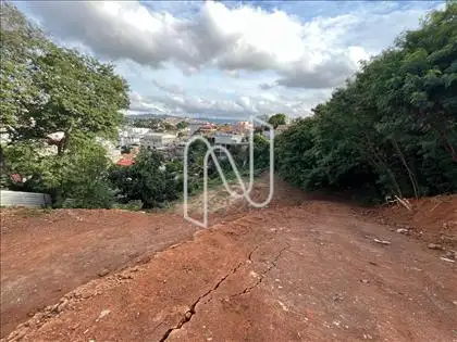 Entrada do lote 