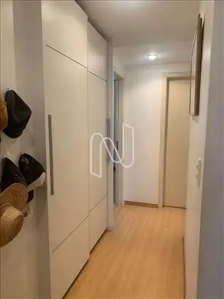 Circulação 