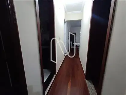 Circulação