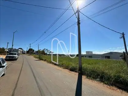      F21 - LOTE