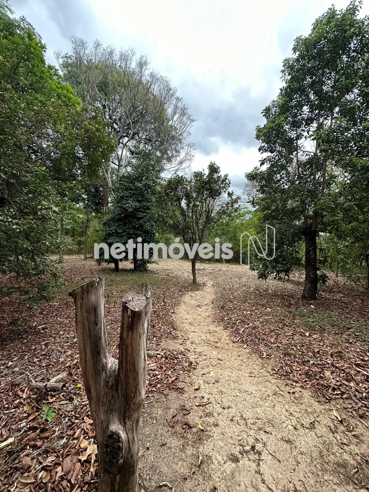  F01 - Lote foto 1