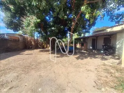 Lote