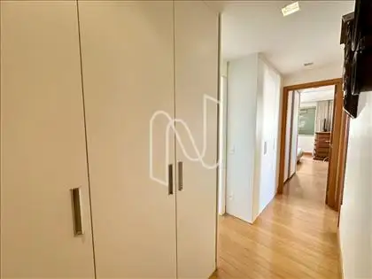 Circulação