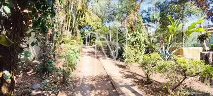 Entrada