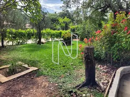 JARDIM 