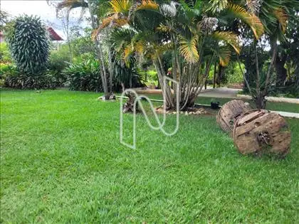  JARDIM