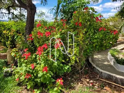 JARDIM