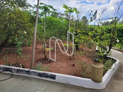 JARDIM 