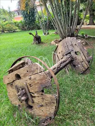 JARDIM 